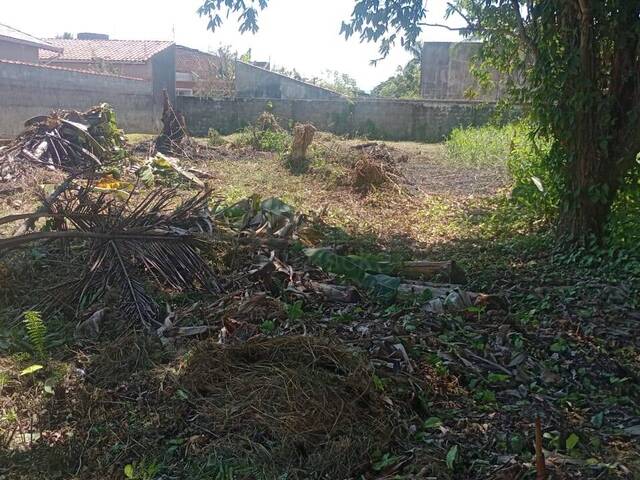 #TER070 - Área para Venda em Itanhaém - SP - 1