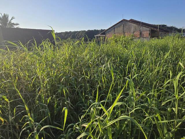 #TER074 - Área para Venda em Itanhaém - SP - 3