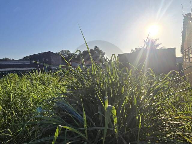 Área para Venda em Itanhaém - 4