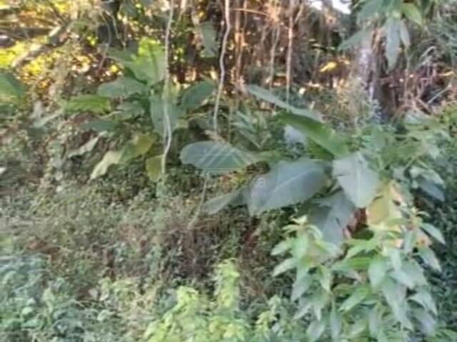 Terreno para Venda em Itanhaém - 4