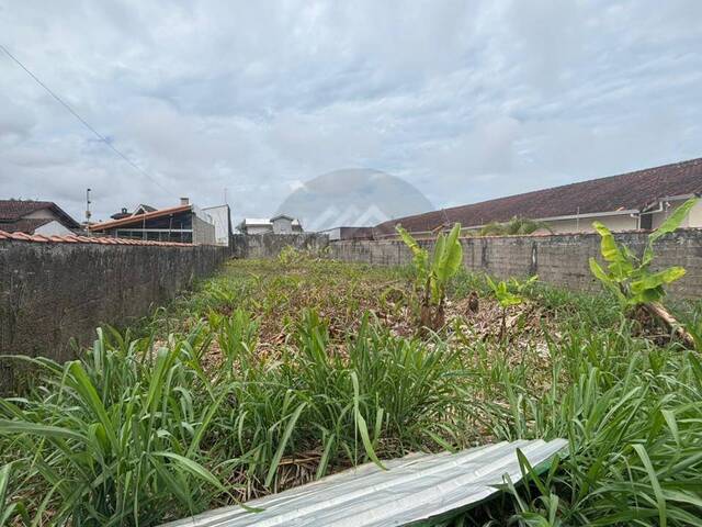 #TER079 - Terreno para Venda em Itanhaém - SP - 1