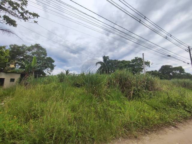 #TER084 - Terreno para Venda em Itanhaém - SP