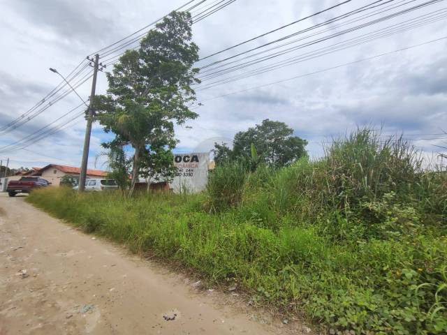 #TER084 - Terreno para Venda em Itanhaém - SP