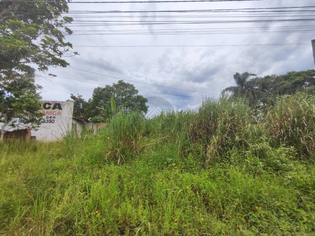 Terreno para Venda em Itanhaém - 5