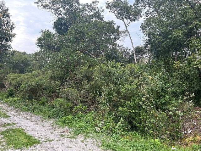 Terreno para Venda em Itanhaém - 2