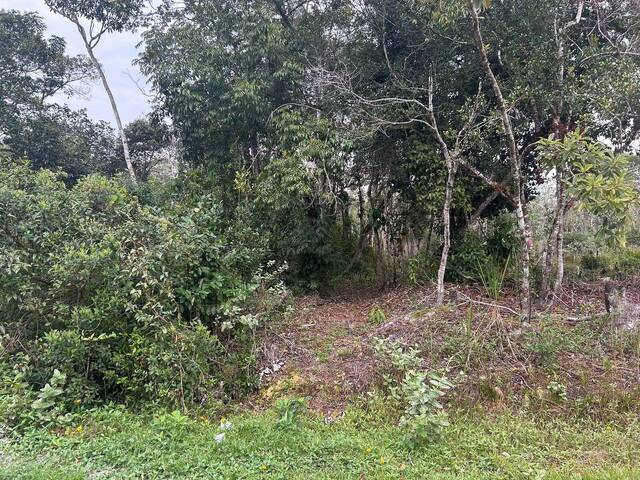 Terreno para Venda em Itanhaém - 3