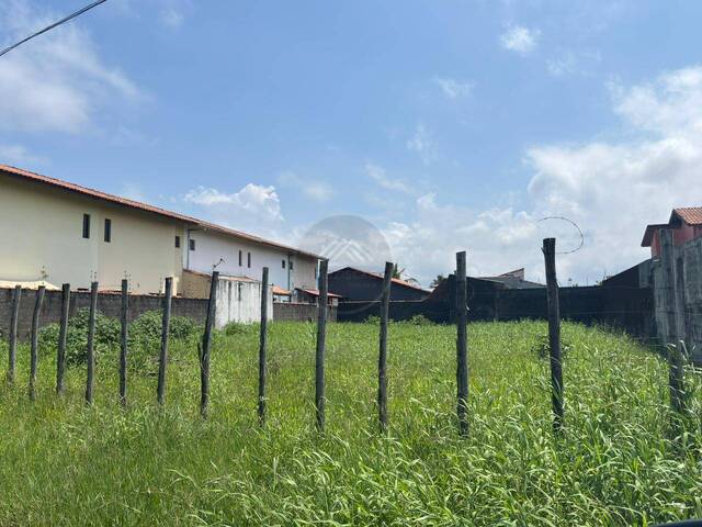 Terreno para Venda em Itanhaém - 3