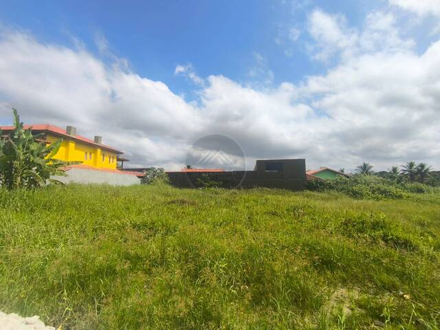 Área para Venda em Itanhaém - 4