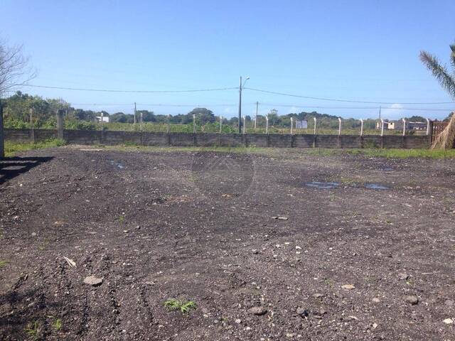 #TER098 - Terreno para Venda em Itanhaém - SP - 3