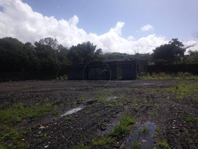 Terreno para Venda em Itanhaém - 5