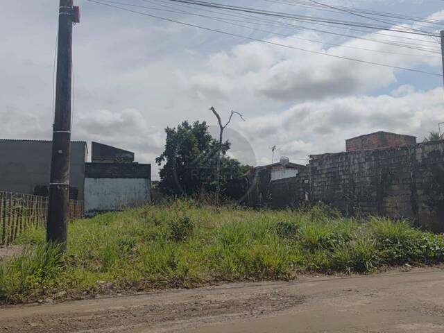 #TER099 - Terreno para Venda em Itanhaém - SP - 2
