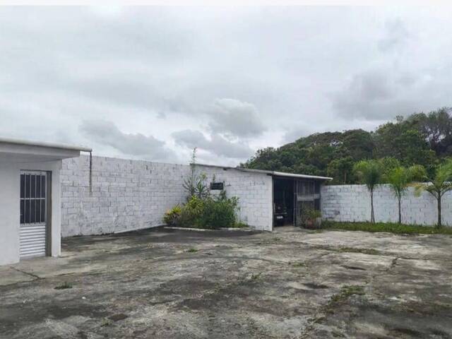 Ponto Comercial para Venda em Itanhaém - 2