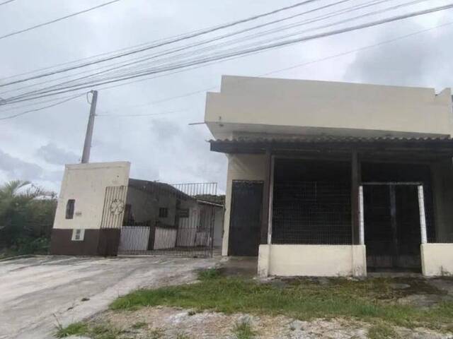 Ponto Comercial para Venda em Itanhaém - 3