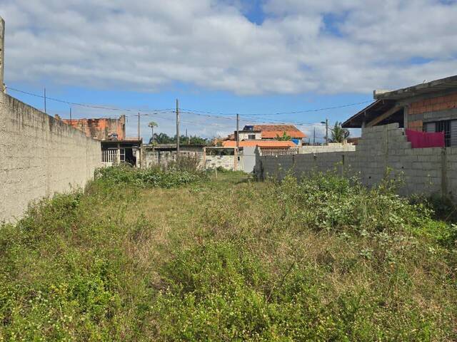 para em - 2