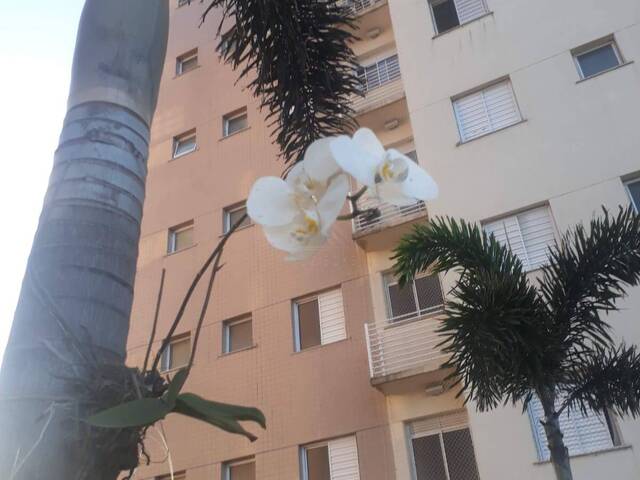 Apartamento para Venda em Itanhaém - 3