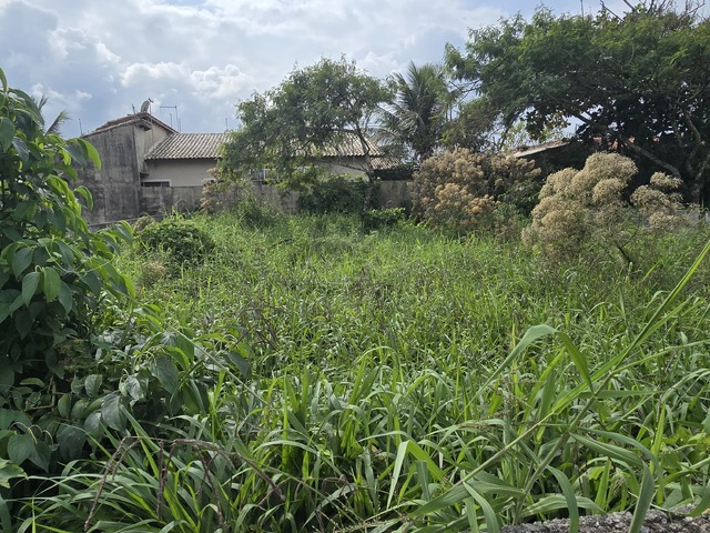 Venda em Jardim Jamaica - Itanhaém