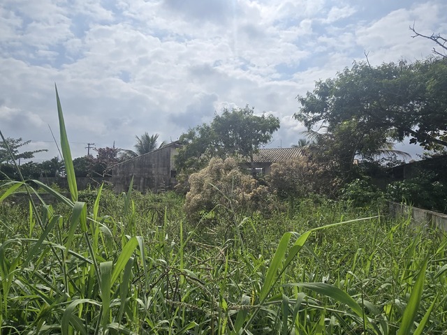 Terreno para Venda em Itanhaém - 2