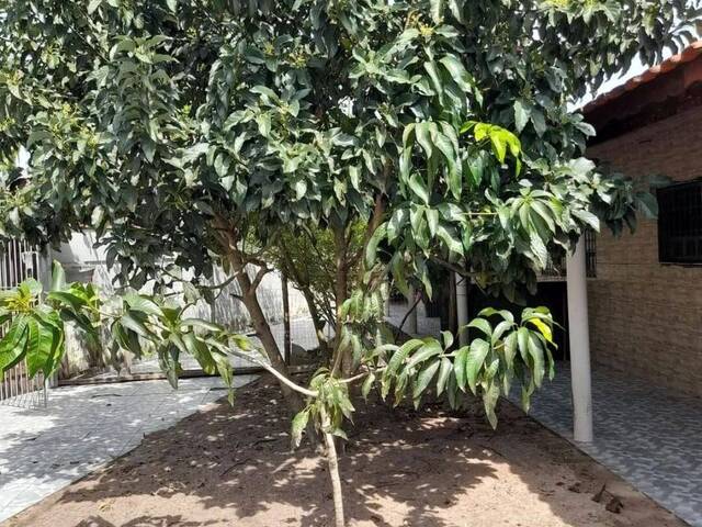 Casa para Venda em Itanhaém - 4