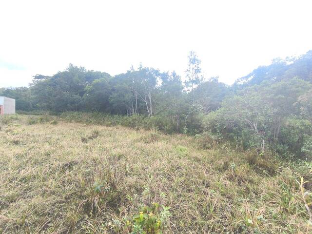 Terreno para Venda em Itanhaém - 2