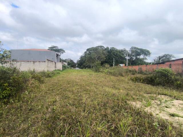 Terreno para Venda em Itanhaém - 3