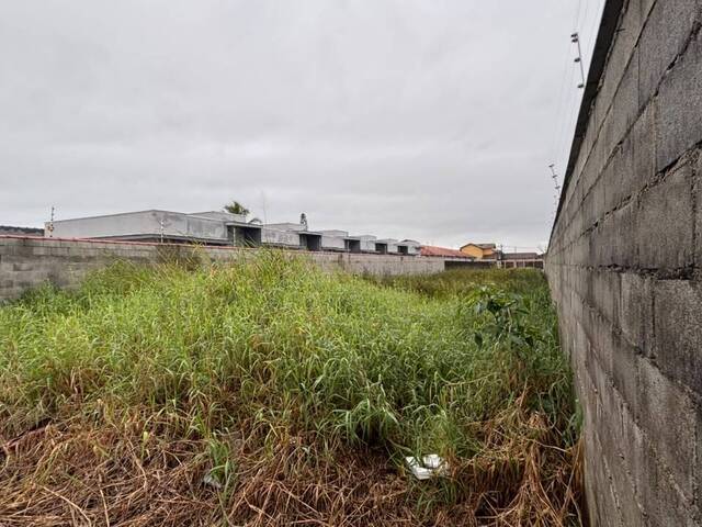 #TER111 - Terreno para Venda em Itanhaém - SP - 1