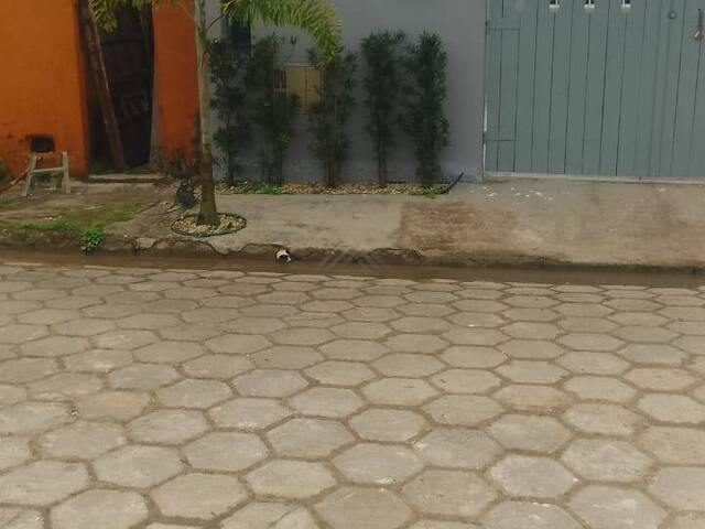Casa para Venda em Itanhaém - 4
