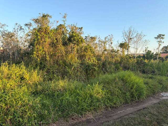 Venda em Jardim Palmeiras - Itanhaém