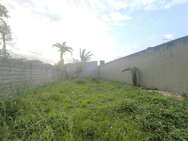 #TER115 - Terreno para Venda em Itanhaém - SP - 3