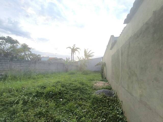 Terreno para Venda em Itanhaém - 5