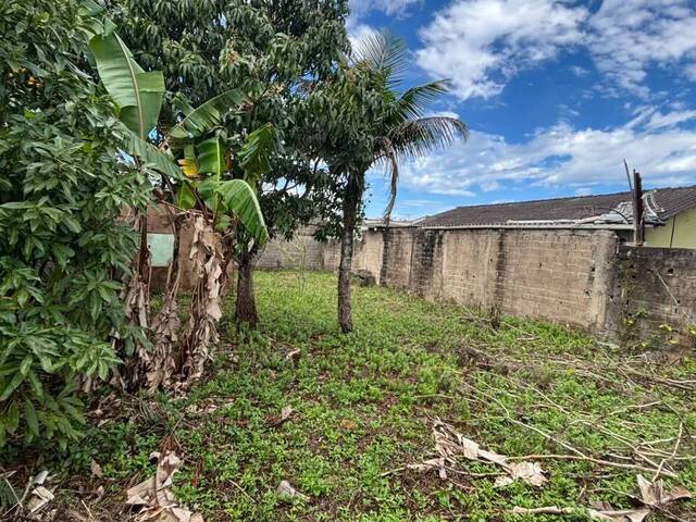 #TER113 - Terreno para Venda em Itanhaém - SP - 1