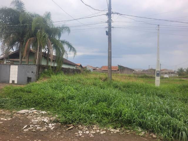 #TER121 - Terreno para Venda em Itanhaém - SP - 1