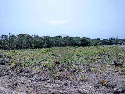 TERRENO COM  ENTRADA E PARCELAS DIRETO COM A LOTEADORA EM ITANHAÉM/SP. — foto 3