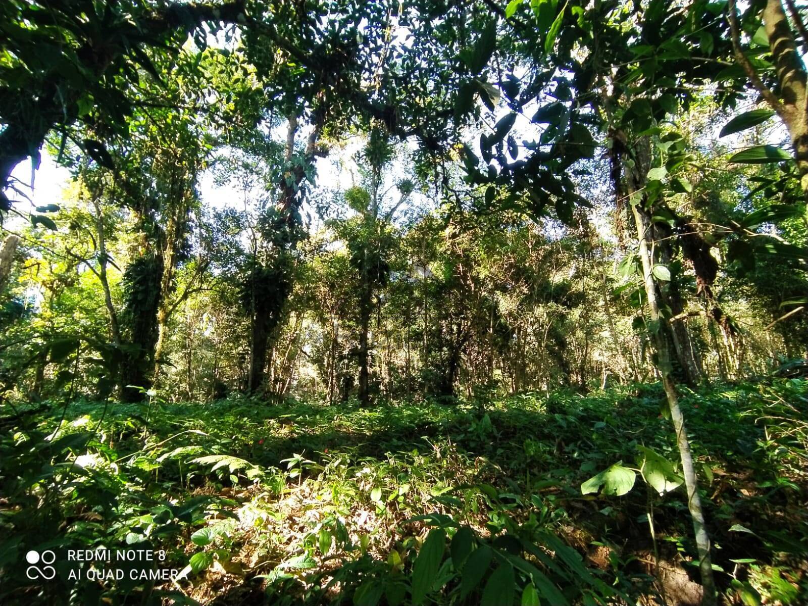 Terreno, 1000 m² - Foto 3