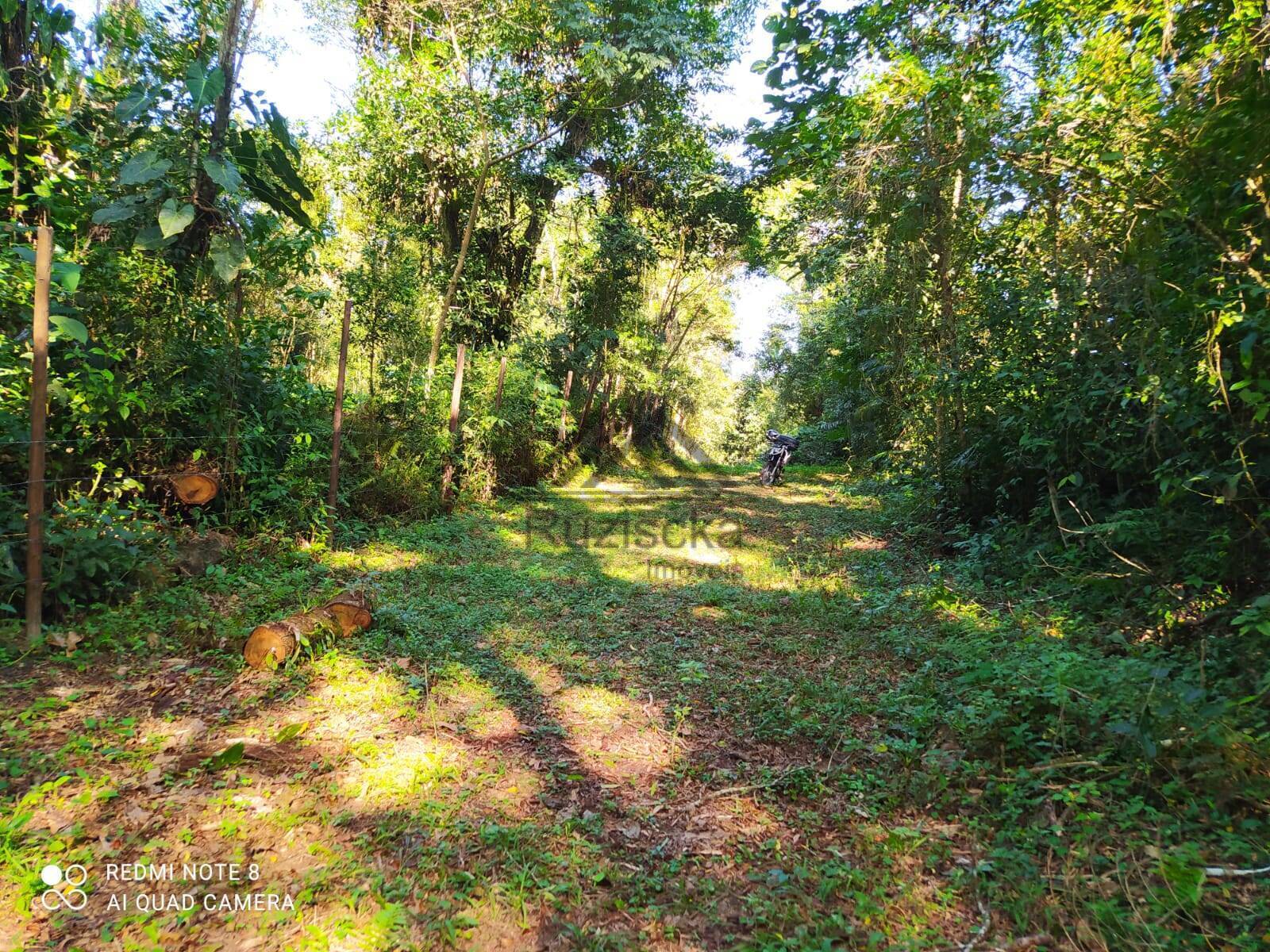 Terreno, 1000 m² - Foto 4