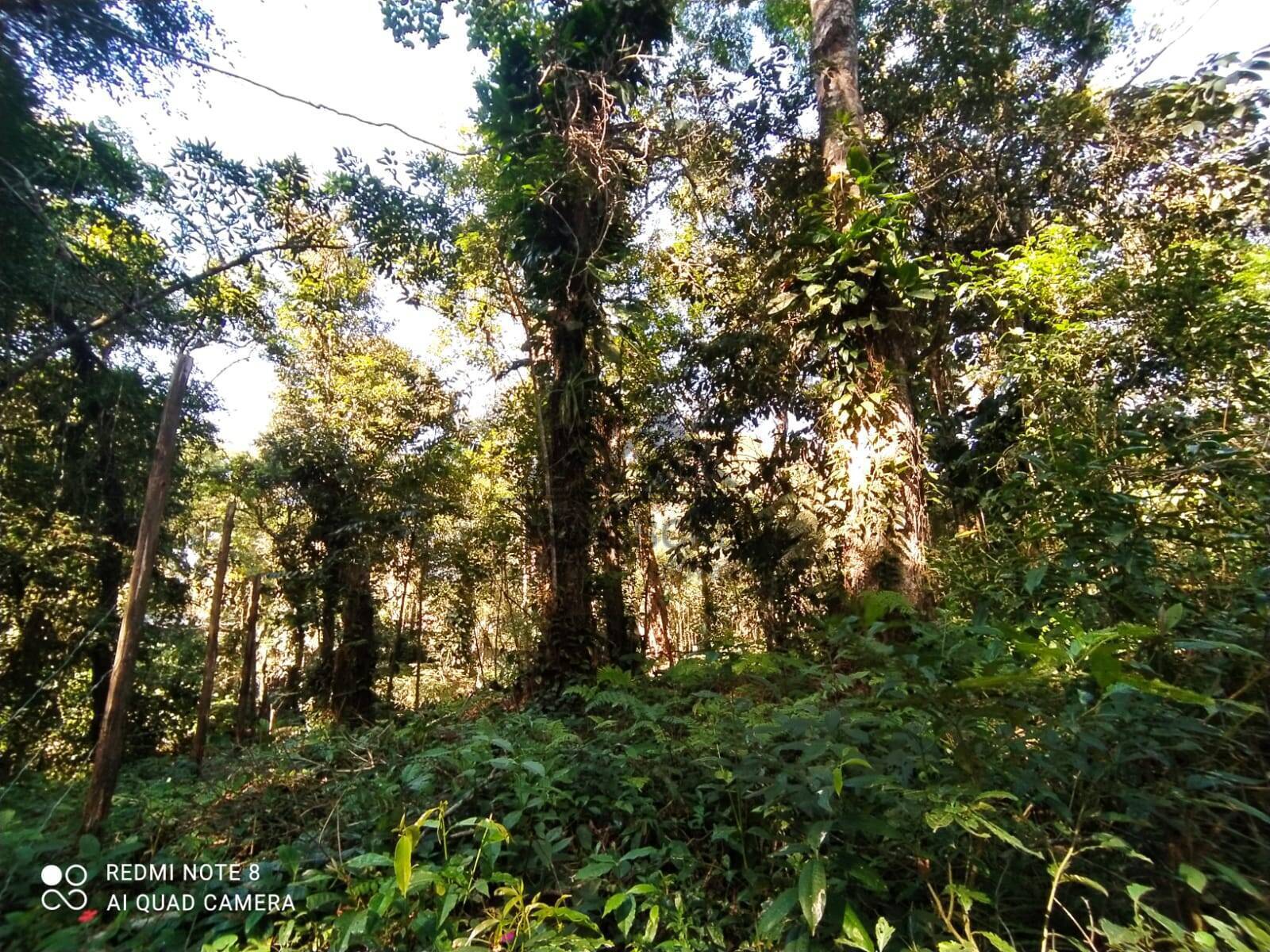Terreno, 1000 m² - Foto 5