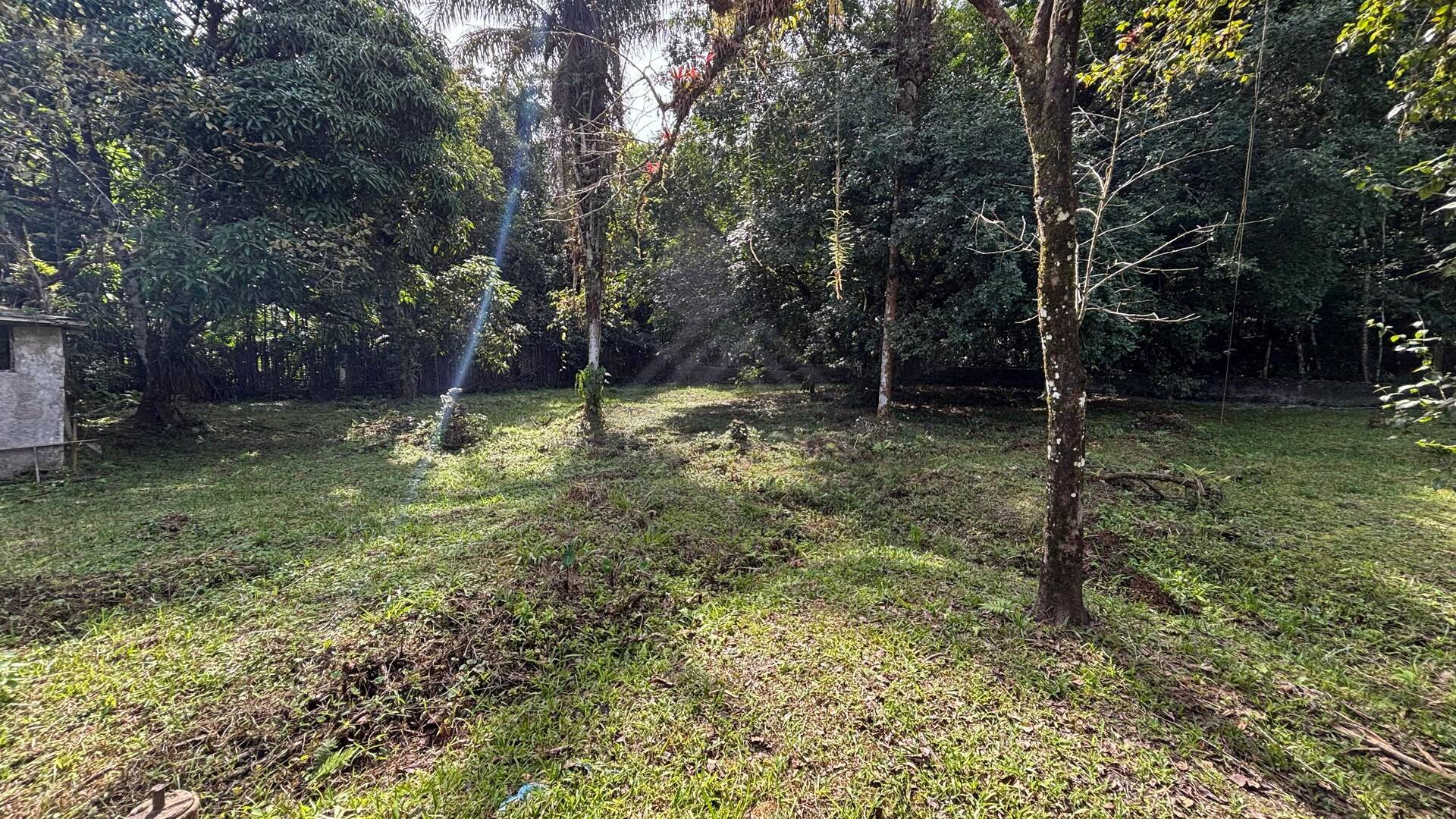 Chácara, 3 quartos, 3650 m² - Foto 4