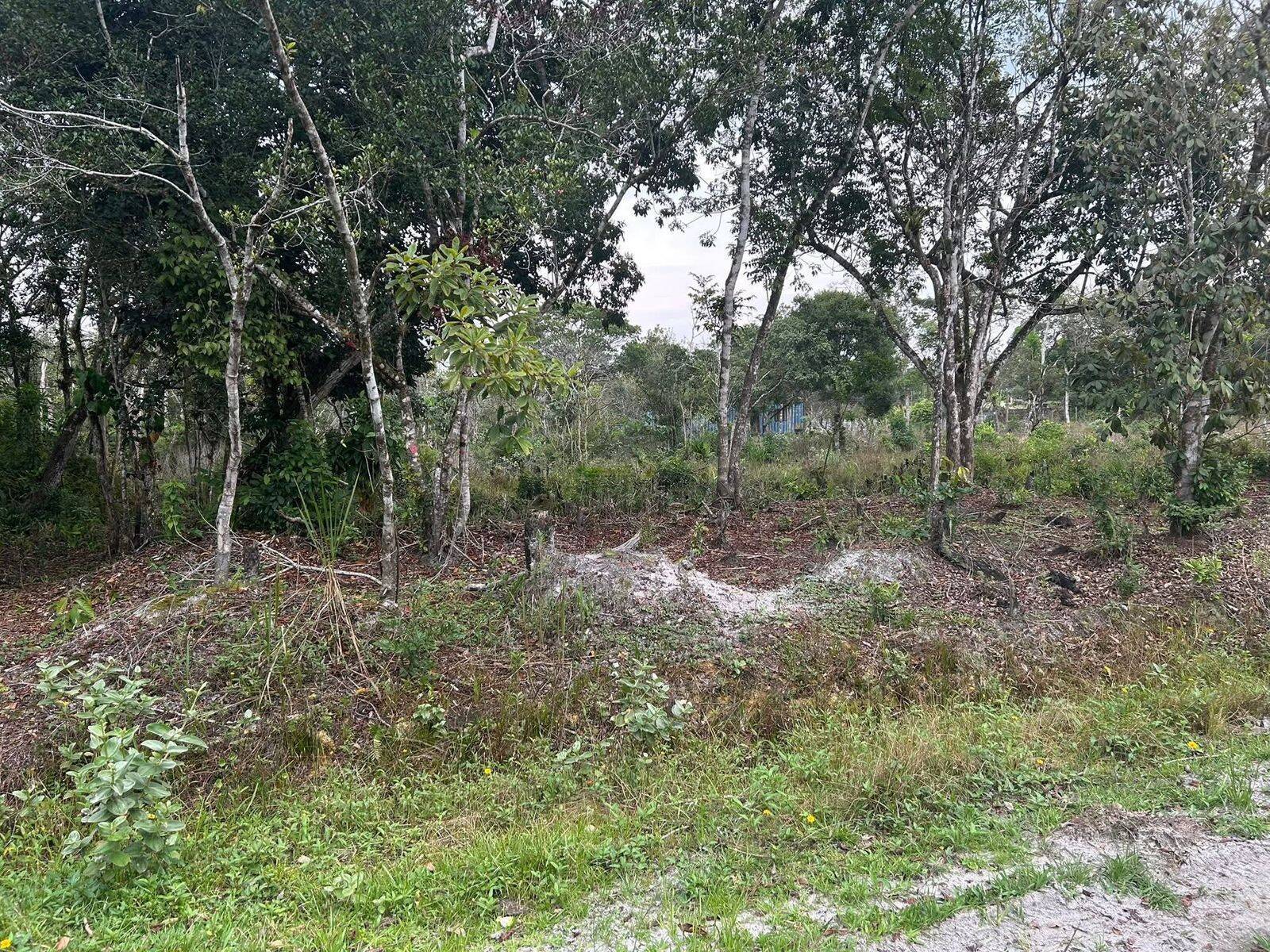 Terreno, 2400 m² - Foto 1