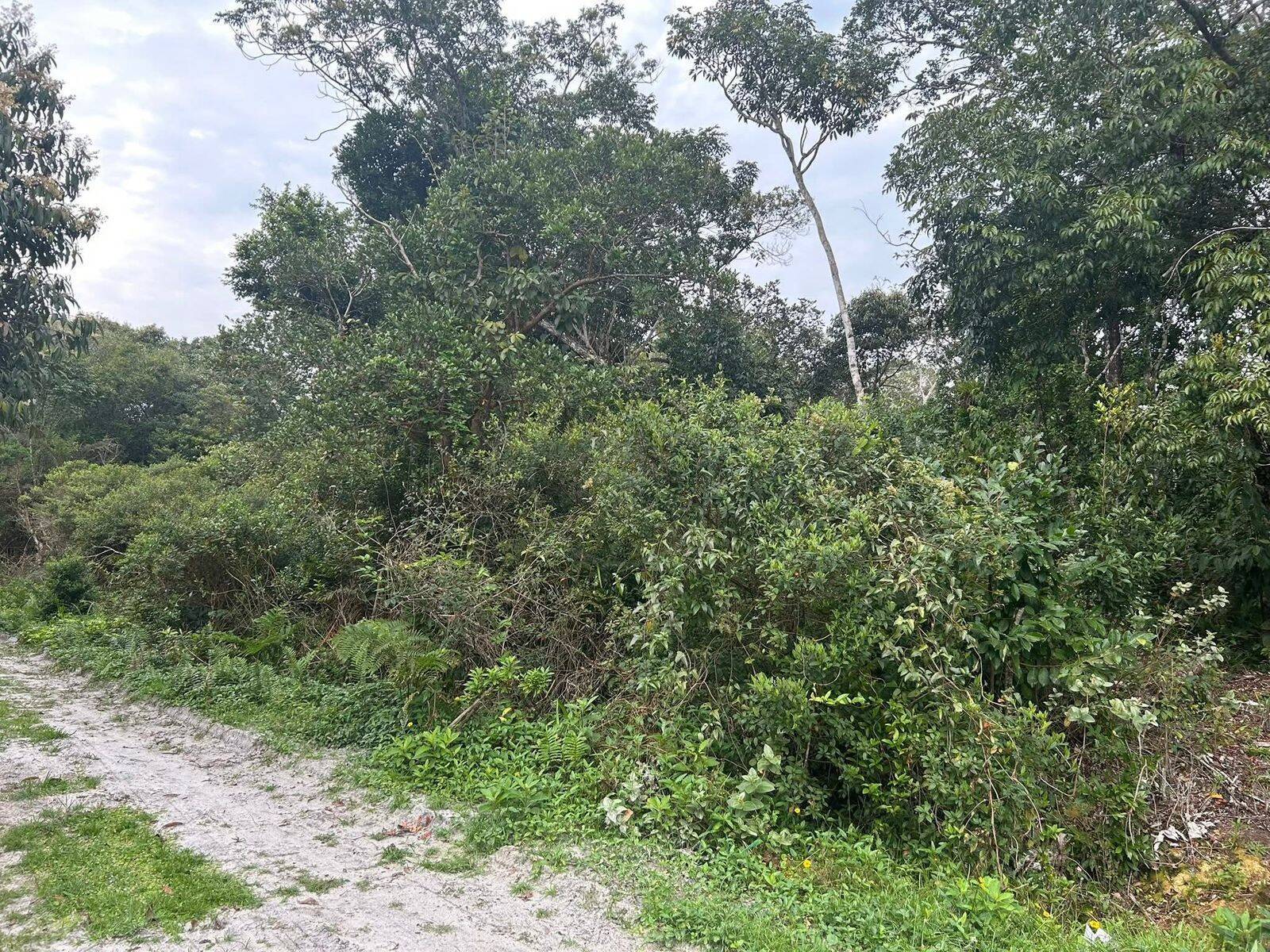 Terreno, 2400 m² - Foto 2