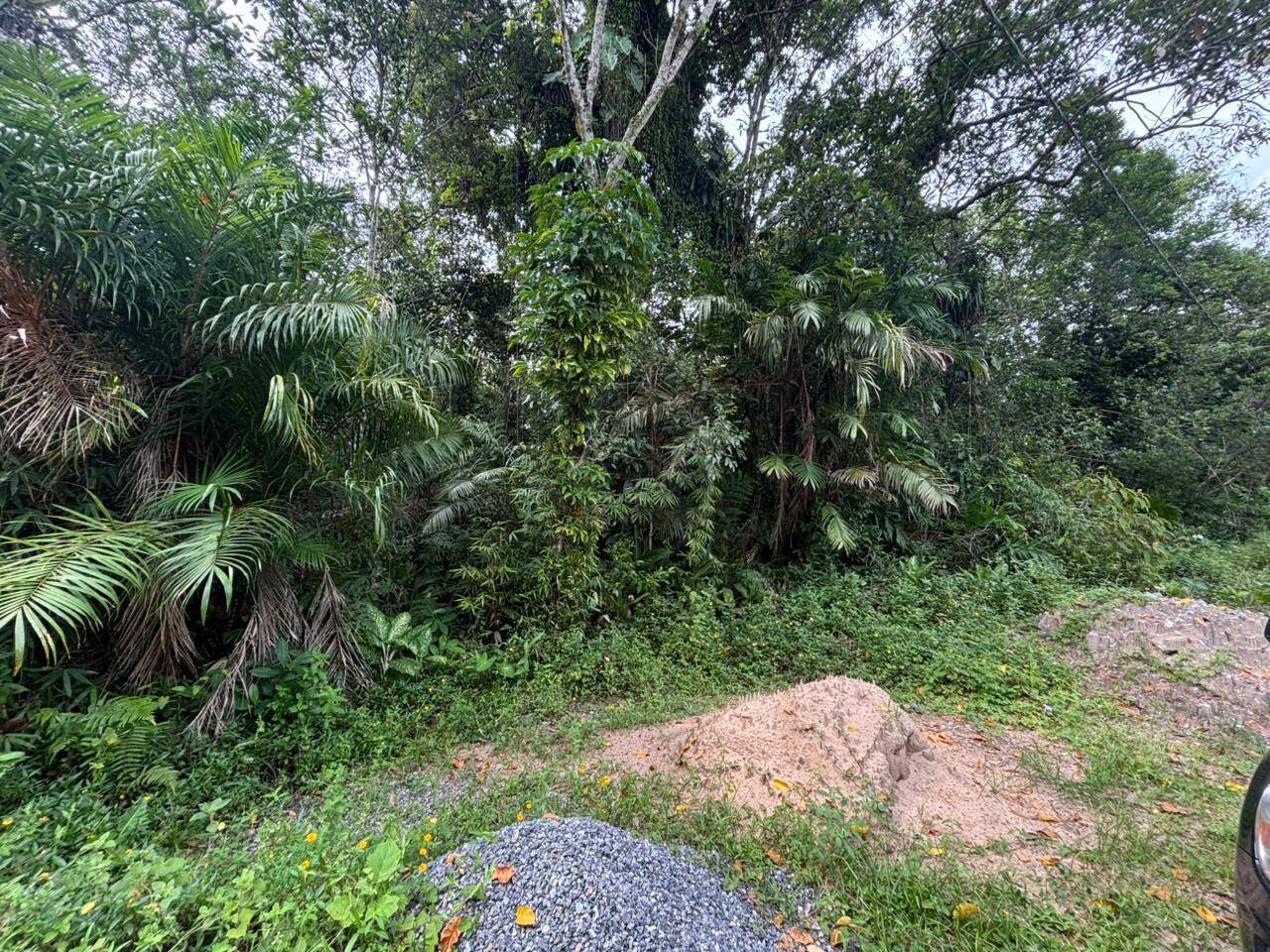 Terreno, 1000 m² - Foto 1