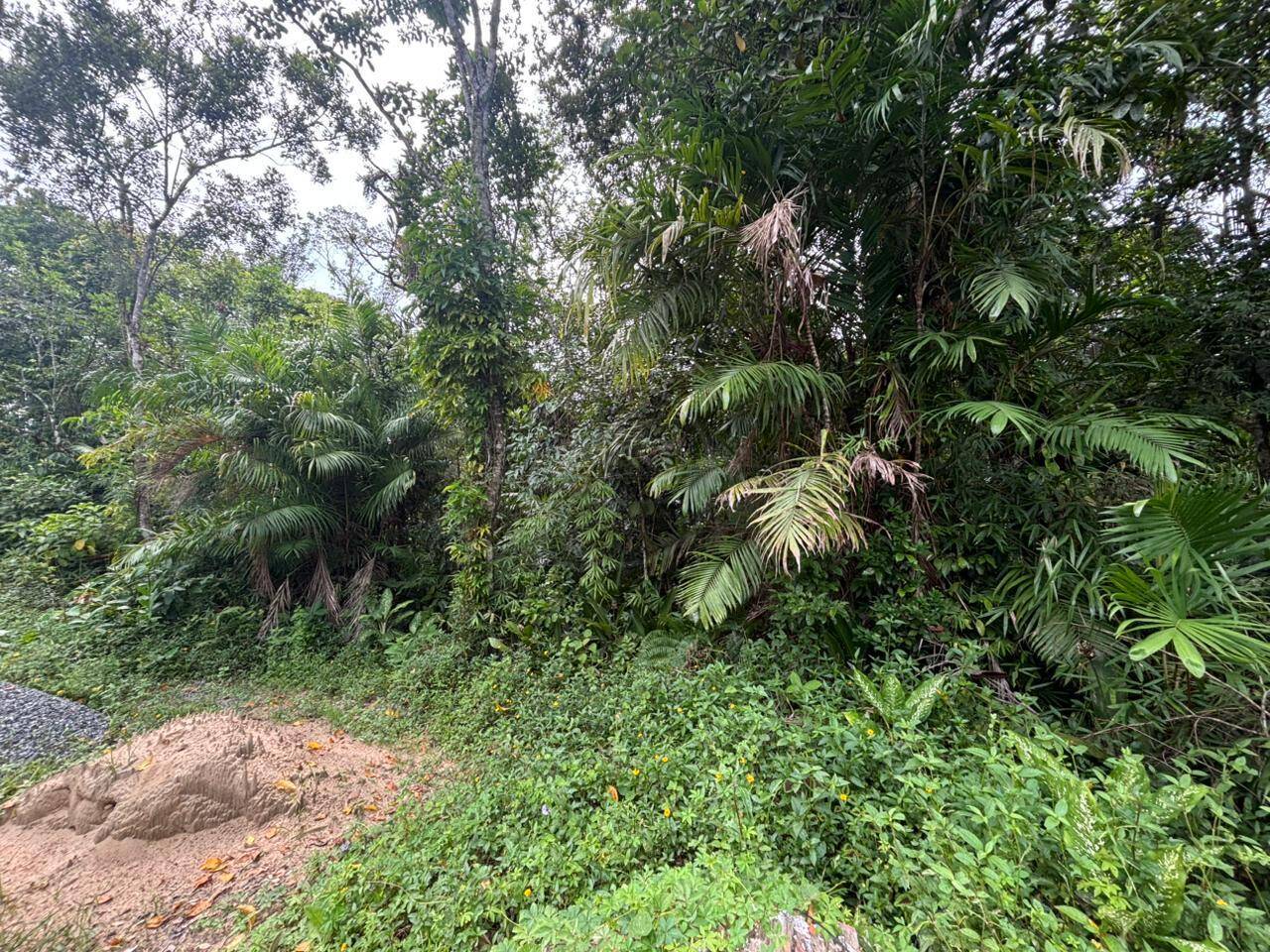 Terreno, 1000 m² - Foto 2