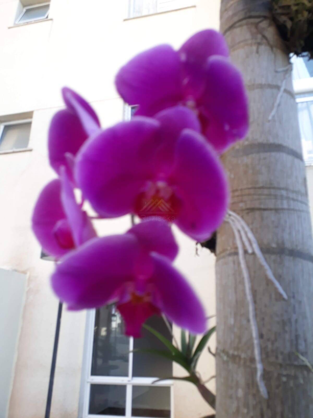 Apartamento, 2 quartos, 72 m² - Foto 13