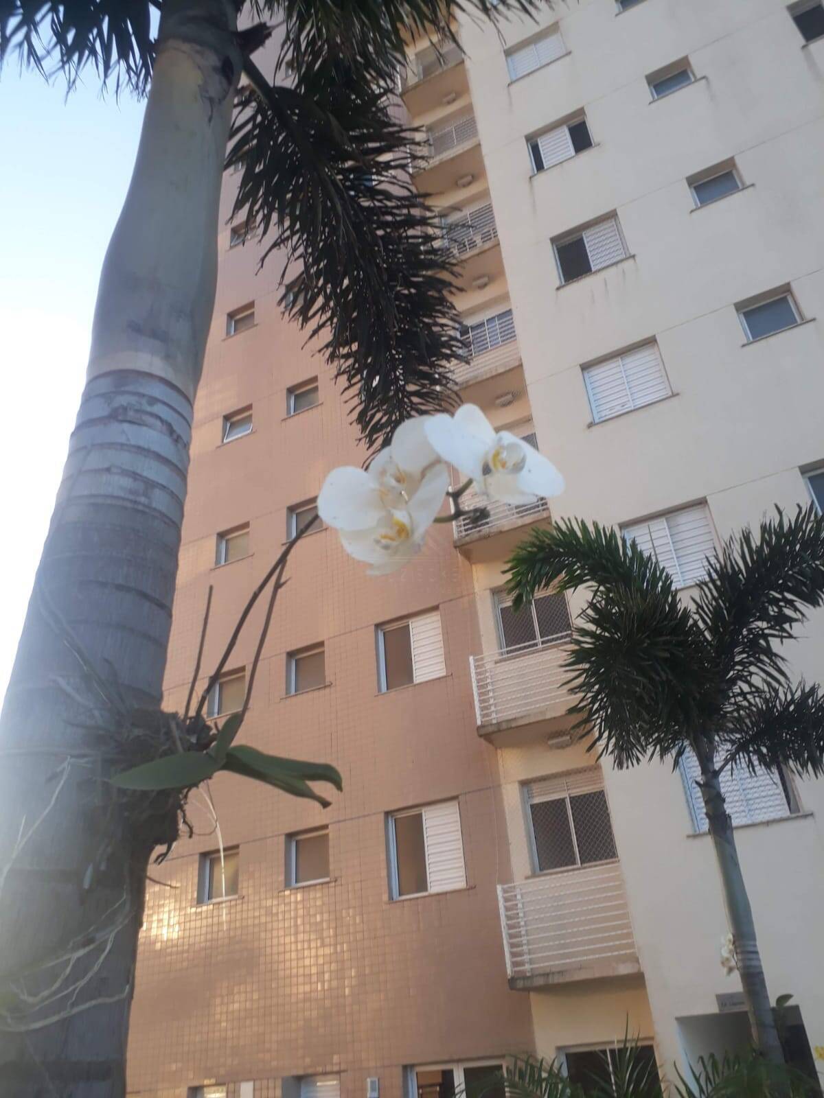 Apartamento, 2 quartos, 72 m² - Foto 3