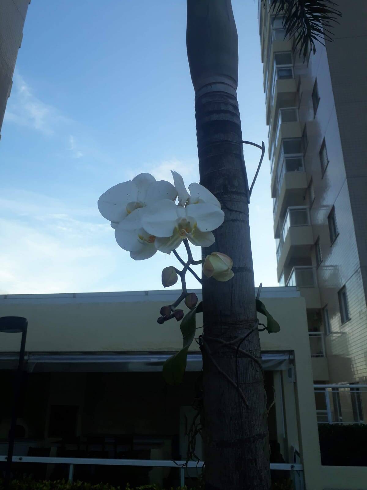 Apartamento, 2 quartos, 72 m² - Foto 15