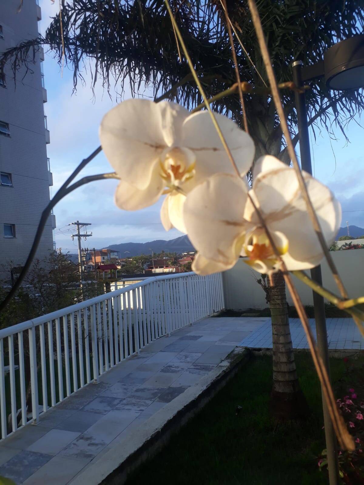 Apartamento, 2 quartos, 72 m² - Foto 11