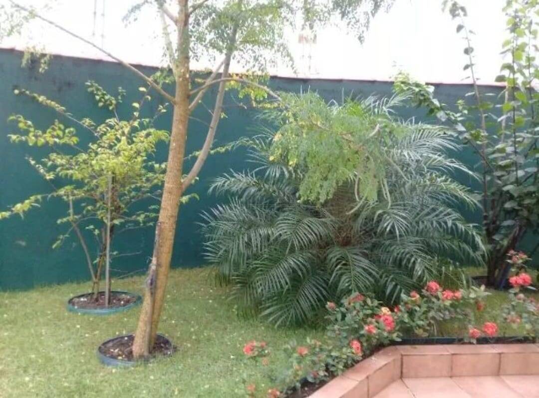 Casa, 3 quartos, 313 m² - Foto 10