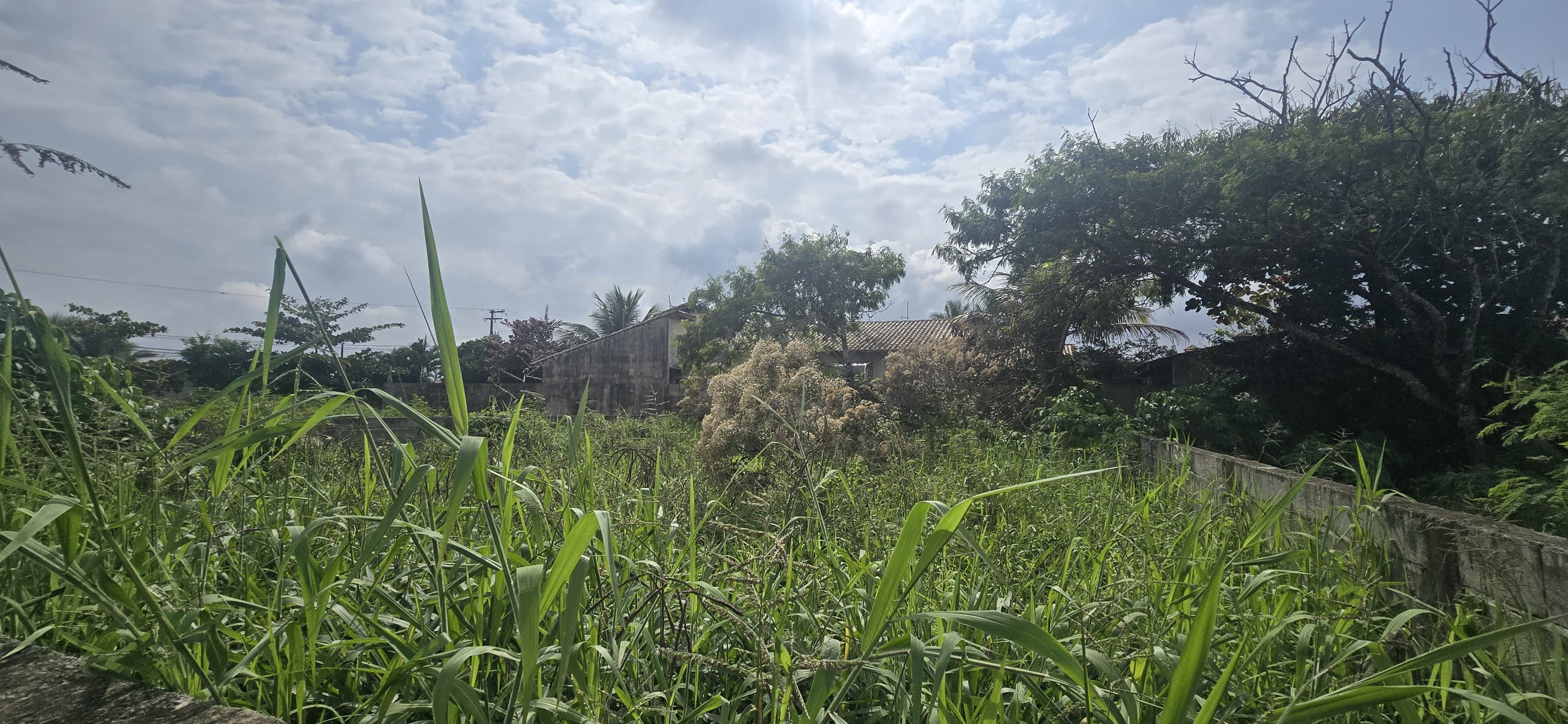 Terreno, 260 m² - Foto 2
