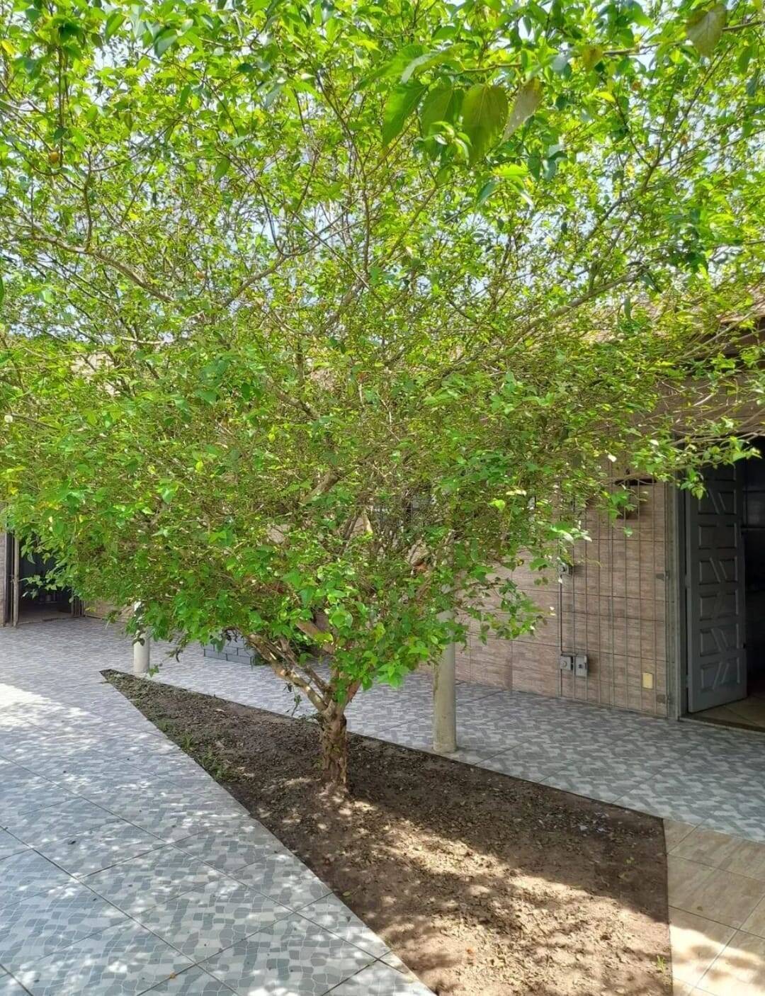 Casa, 2 quartos, 120 m² - Foto 3
