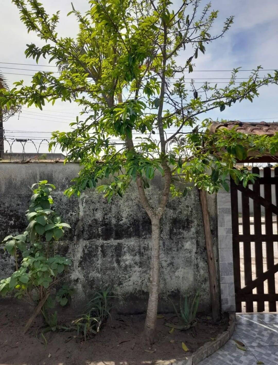 Casa, 2 quartos, 120 m² - Foto 1