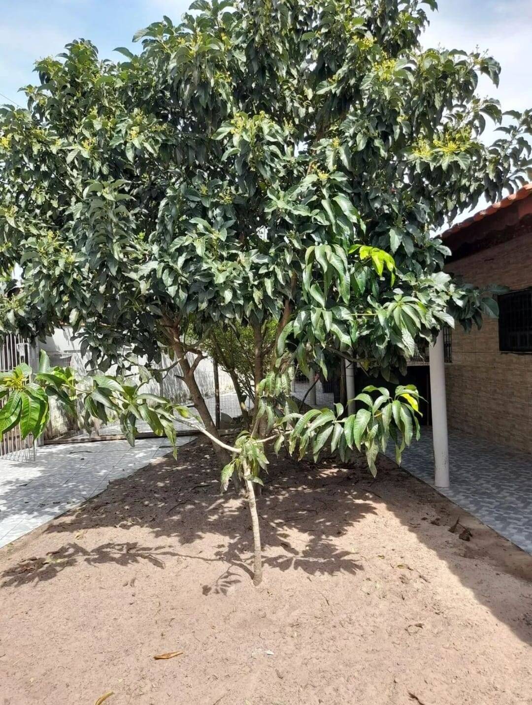 Casa, 2 quartos, 120 m² - Foto 4