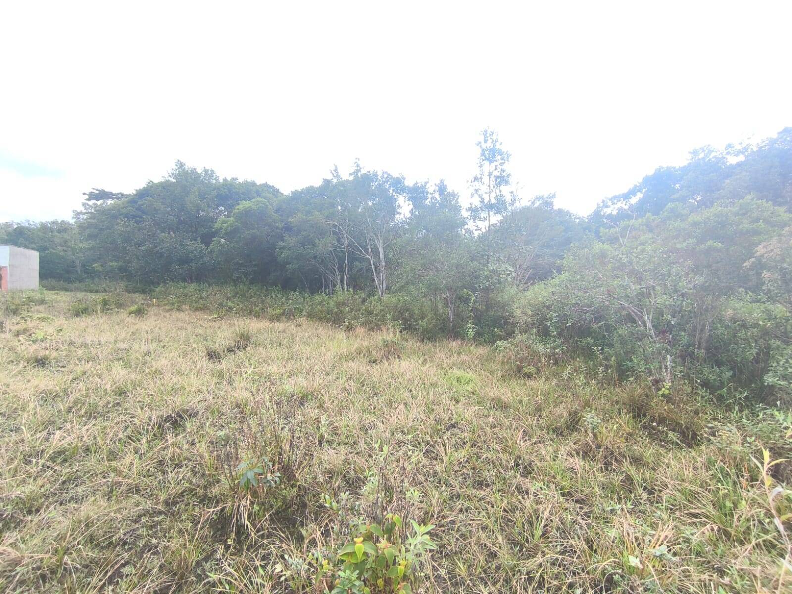 Terreno, 560 m² - Foto 2